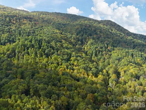 102 Carriage Drive Fairview NC 28730