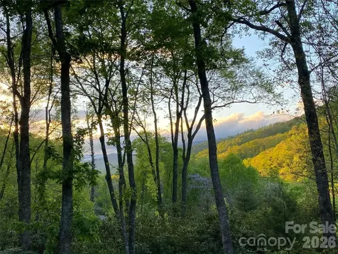 102 Carriage Drive Fairview NC 28730