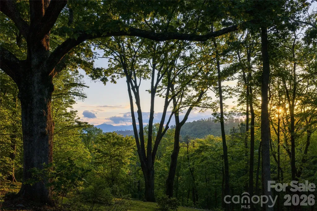 15 Hunters Way Asheville NC 28804