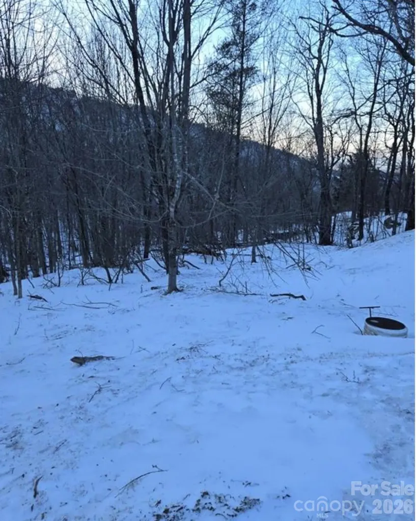 103 Snowplow Lane Beech Mountain NC 28604
