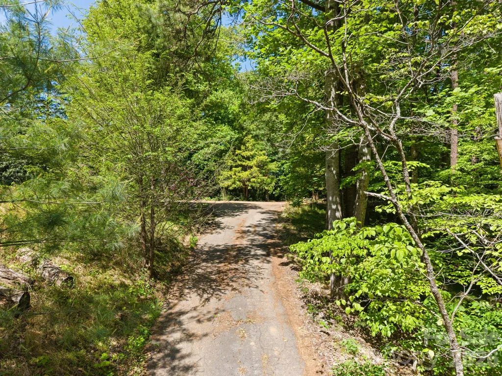 31 White Bridge Road Weaverville NC 28787