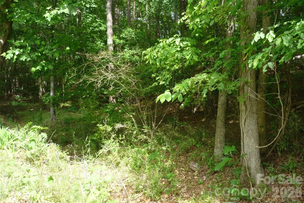 158 Southern Horizon Drive Statesville NC 28677