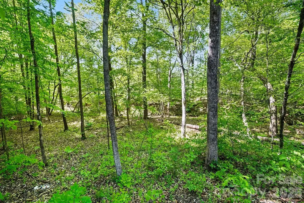 7250 Empire Drive Mount Pleasant NC 28124