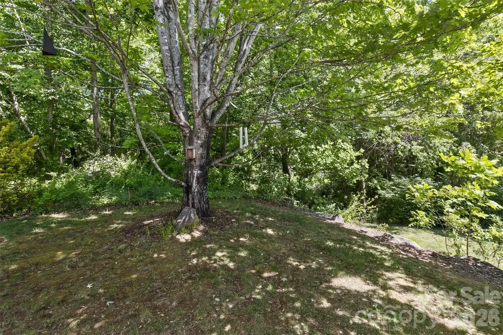 55 Stonebridge Drive Asheville NC 28805