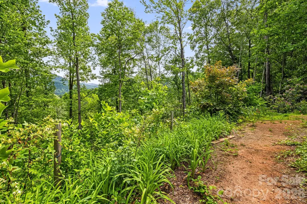 107 Mercy Ridge Sylva NC 28779