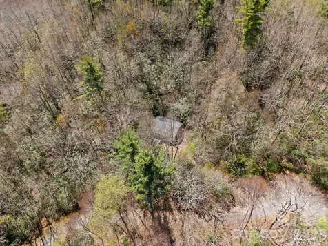 8977 Rose Hollow Avenue Newland NC 28657