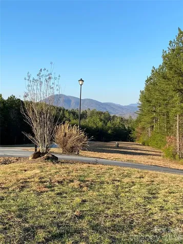 109 Spring Hollow Road Mill Spring NC 28756