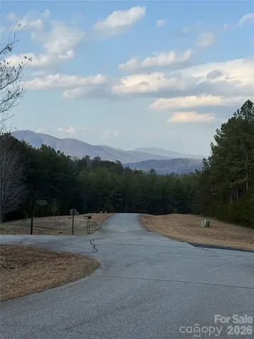 109 Spring Hollow Road Mill Spring NC 28756
