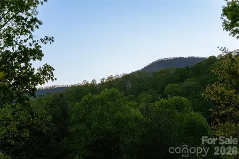 2159 North Fork Right Fork Road Black Mountain NC 28711