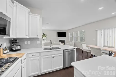 17501 Chaco Lane Charlotte NC 28278