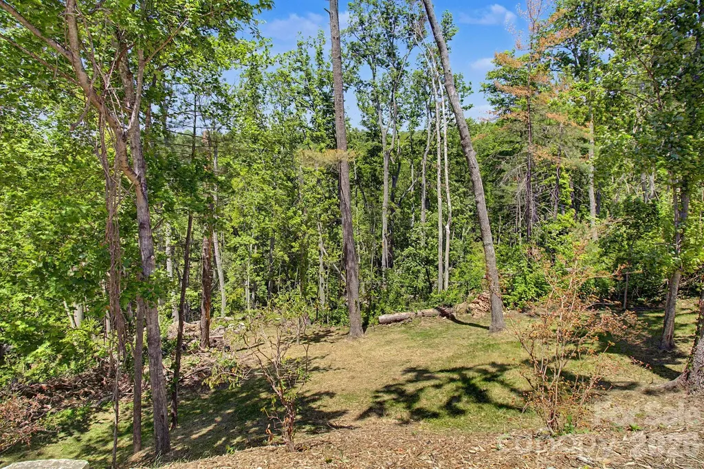 5 Kent Place Asheville NC 28804