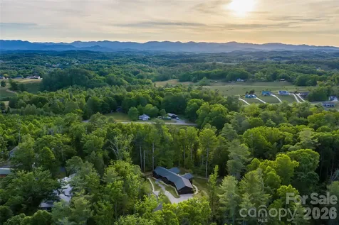 27 Tommy Ray Ridge Weaverville NC 28787