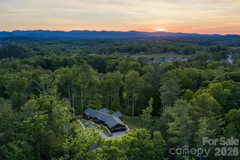 27 Tommy Ray Ridge Weaverville NC 28787