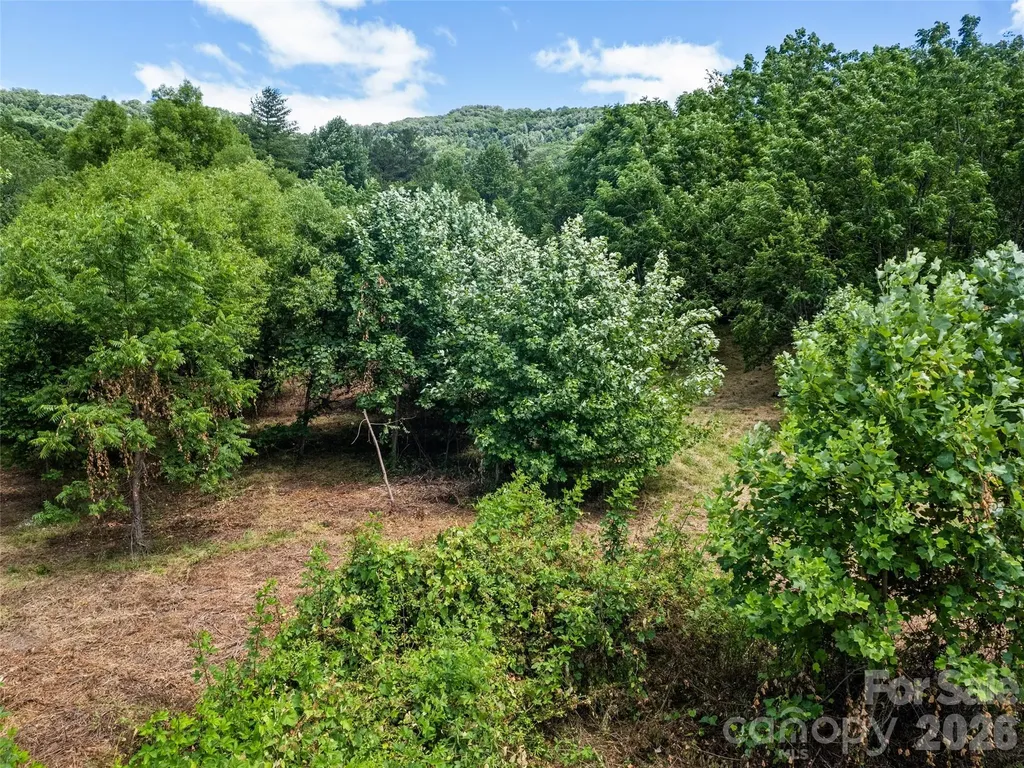 9999 Lollis Road Candler NC 28715