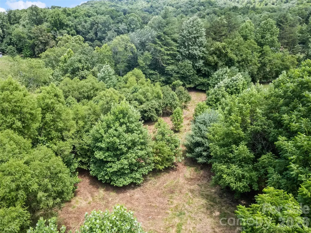 9999 Lollis Road Candler NC 28715