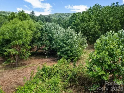 9999 Lollis Road Candler NC 28715