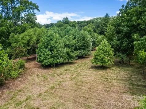 9999 Lollis Road Candler NC 28715