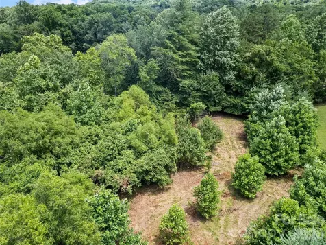 9999 Lollis Road Candler NC 28715