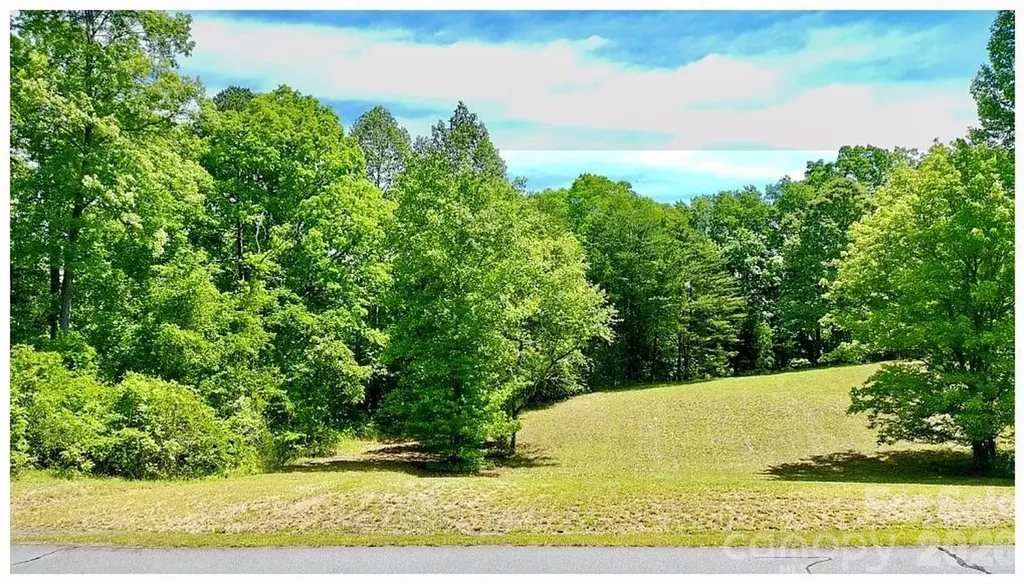 0 Shady Bark Lane Rutherfordton NC 28139