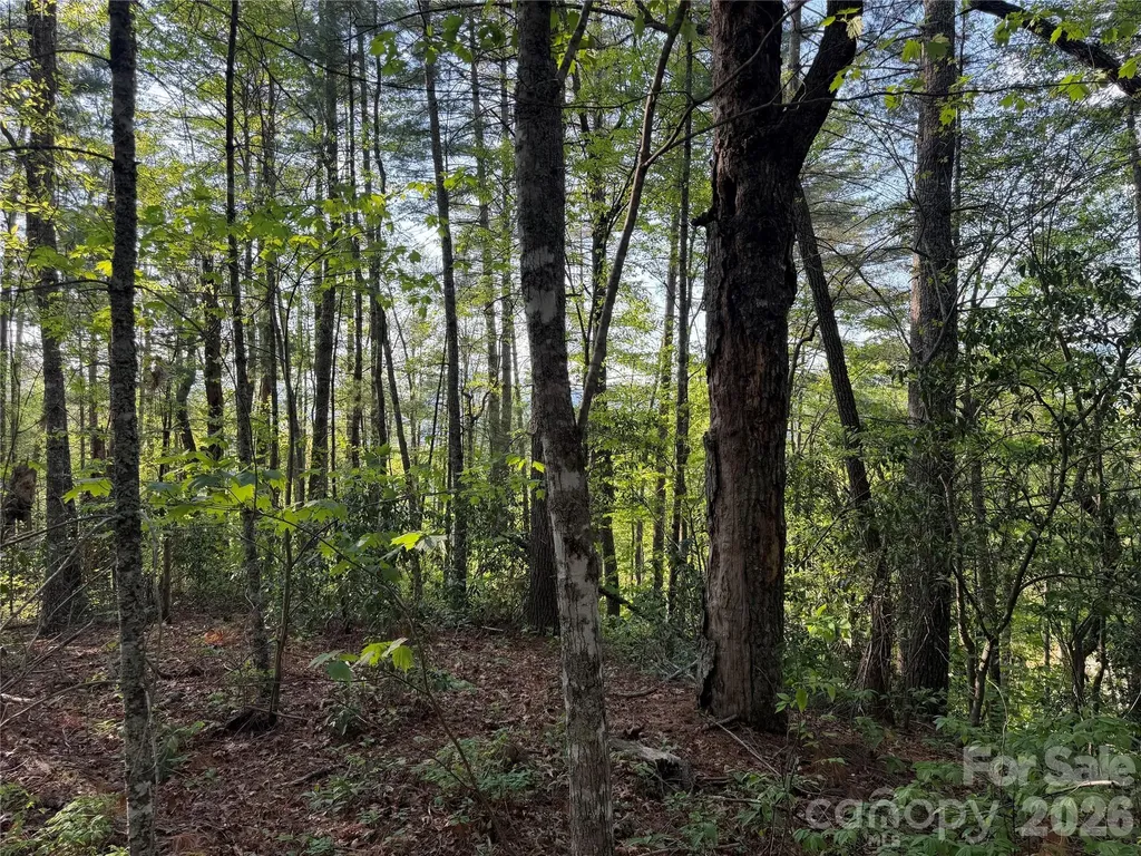 000 Howard Edwards Road Robbinsville NC 28771
