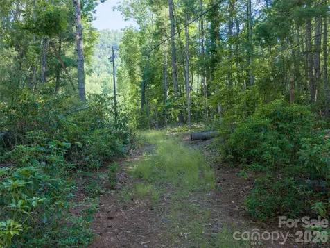 000 Mountain Laurel Lane Fletcher NC 28732