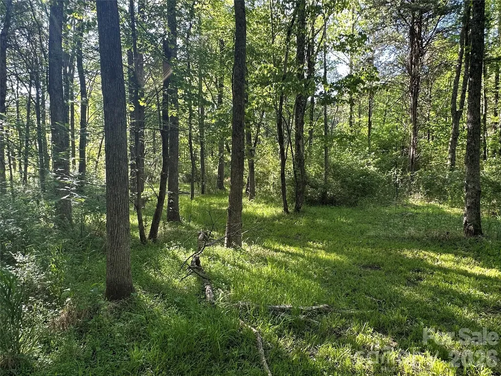 00 Bonkin Lake Road Mocksville NC 27028