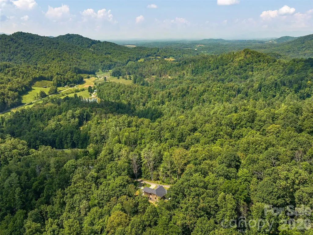 184 Sandys Home Place Mars Hill NC 28754