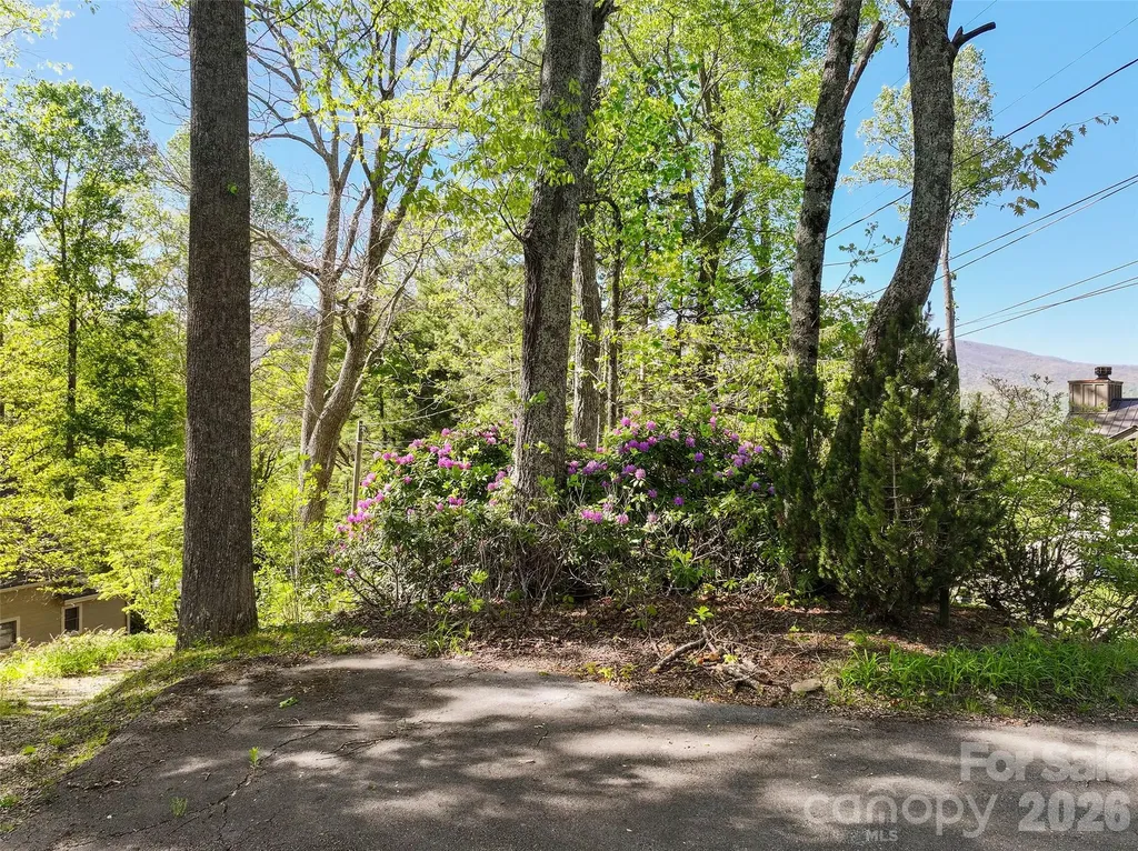479 Old Dummy Line Road Balsam NC 28707