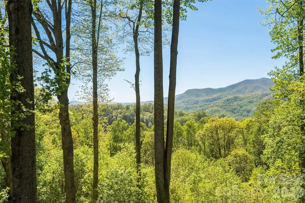 479 Old Dummy Line Road Balsam NC 28707