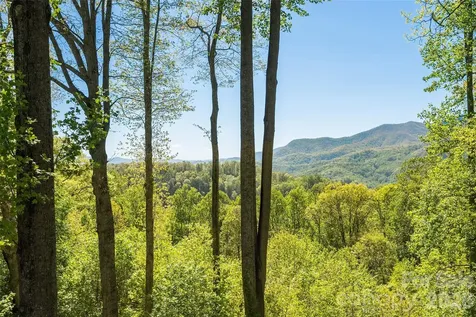 479 Old Dummy Line Road Balsam NC 28707