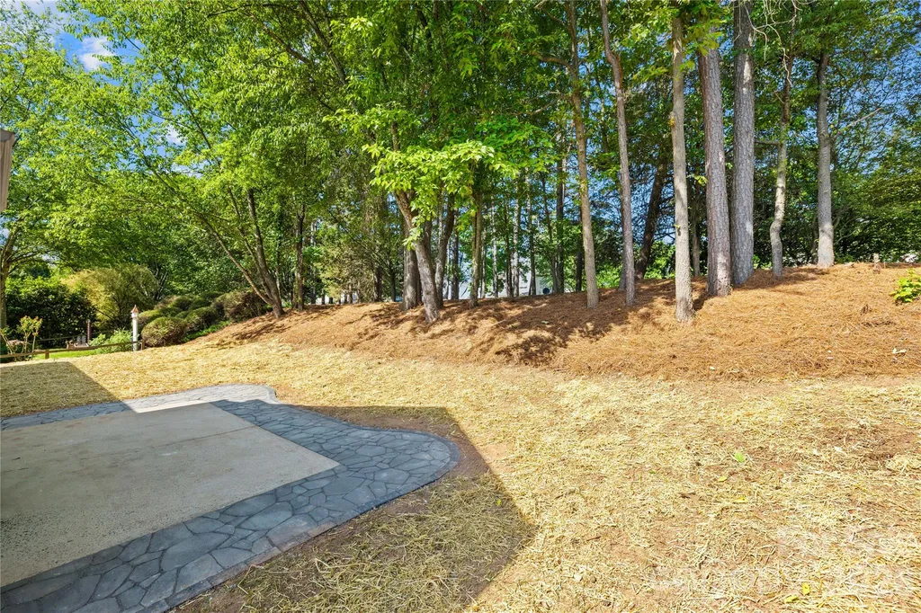 20236 Colony Point Lane Cornelius NC 28031
