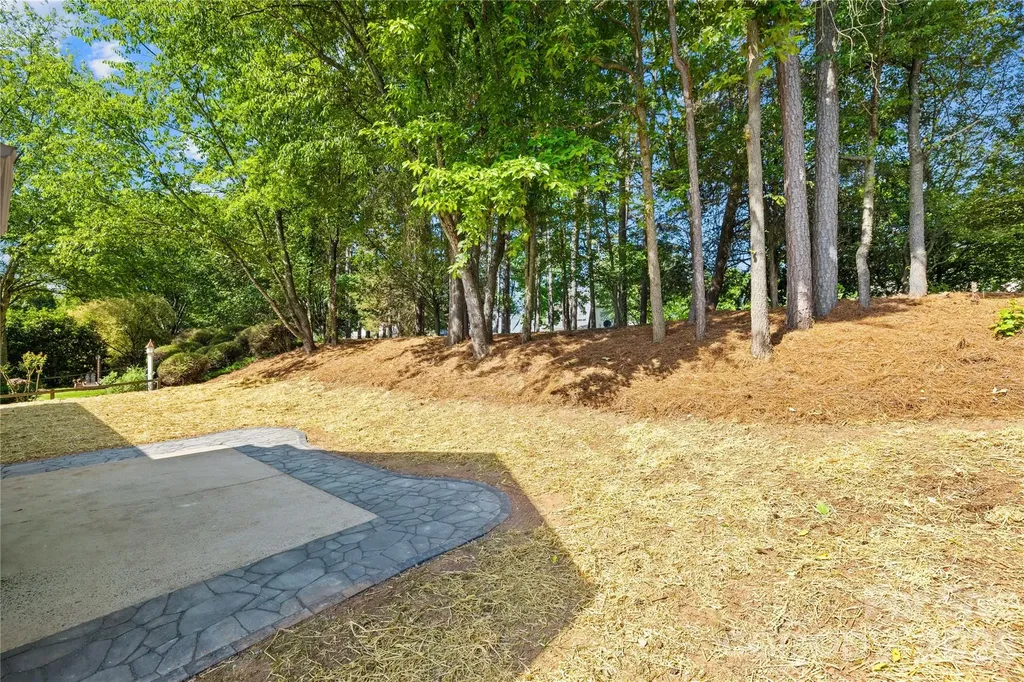 20236 Colony Point Lane Cornelius NC 28031