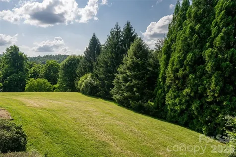 33 Bridle Path Drive Barnardsville NC 28709