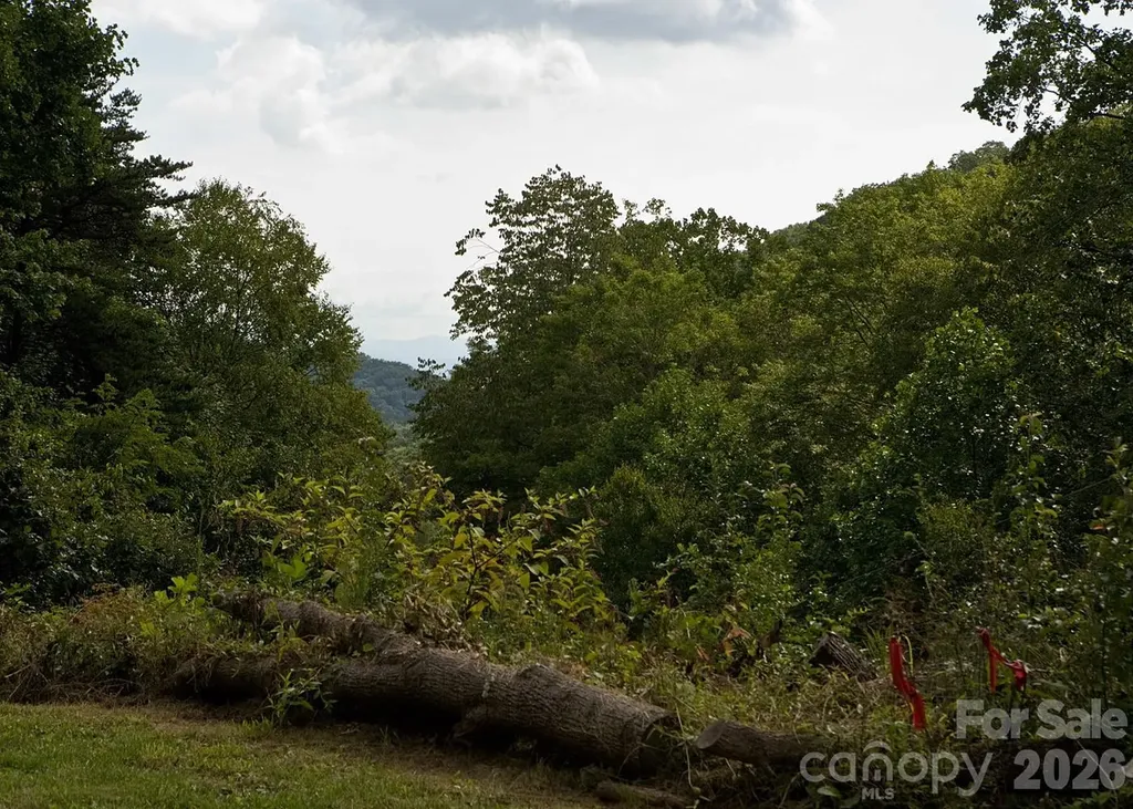 165 Peepeye Cove Road Leicester NC 28748