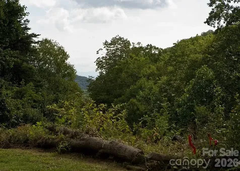 165 Peepeye Cove Road Leicester NC 28748