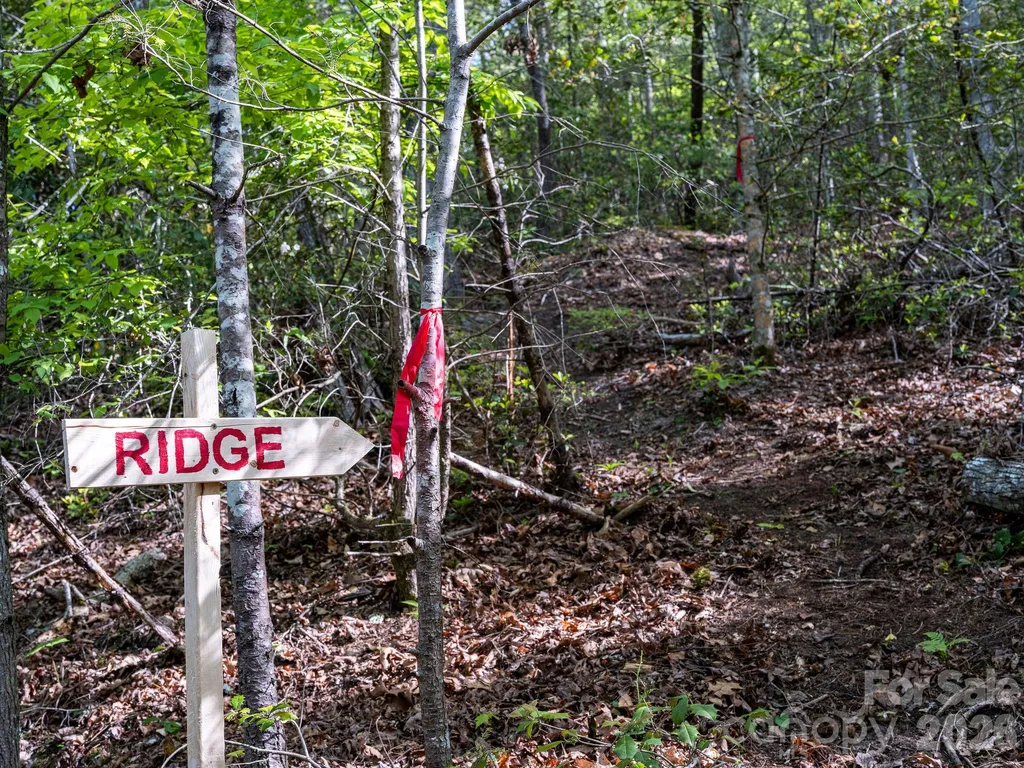 31 Caddis Court Marshall NC 28753