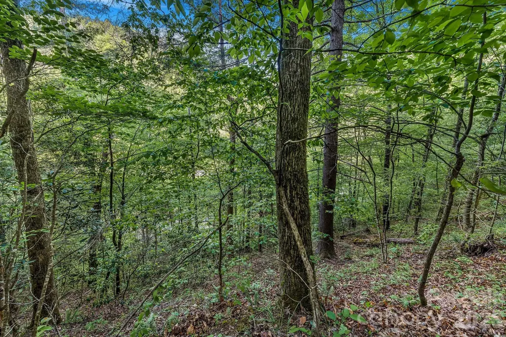 31 Caddis Court Marshall NC 28753