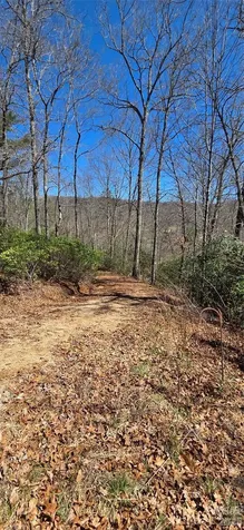 90 Kimiko Lane S Balsam Grove NC 28708