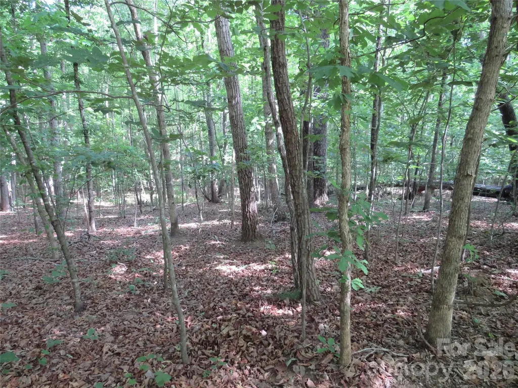 0 S Woodleaf Road Forest City NC 28043