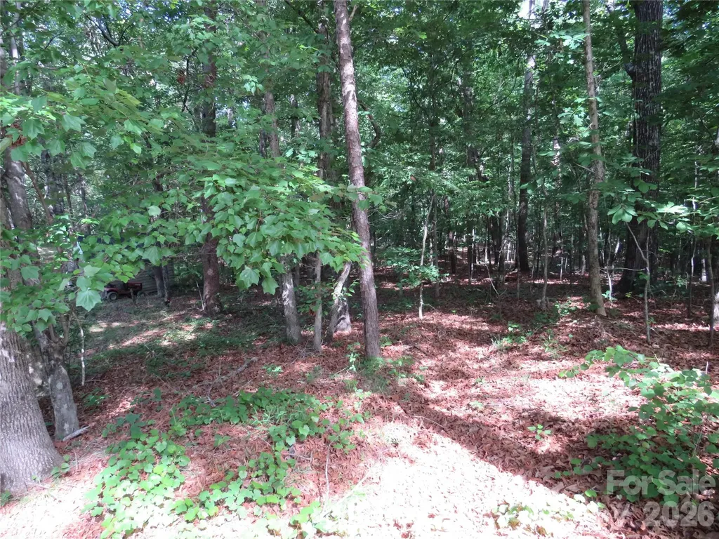 0 S Woodleaf Road Forest City NC 28043