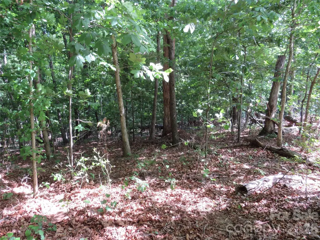 0 S Woodleaf Road Forest City NC 28043