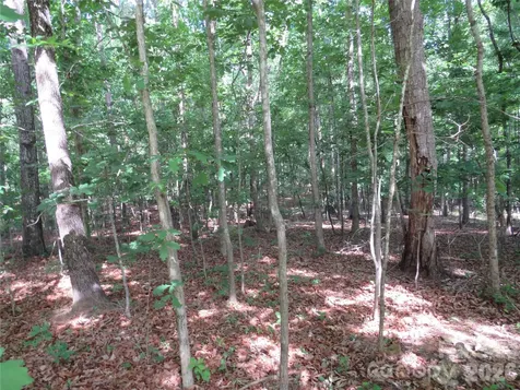 0 S Woodleaf Road Forest City NC 28043