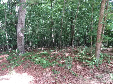0 S Woodleaf Road Forest City NC 28043