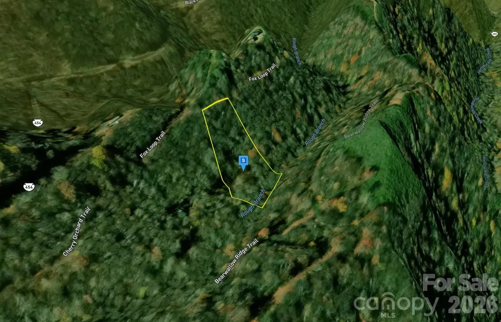 48 Black Rock Ranch Road Sylva NC 28779