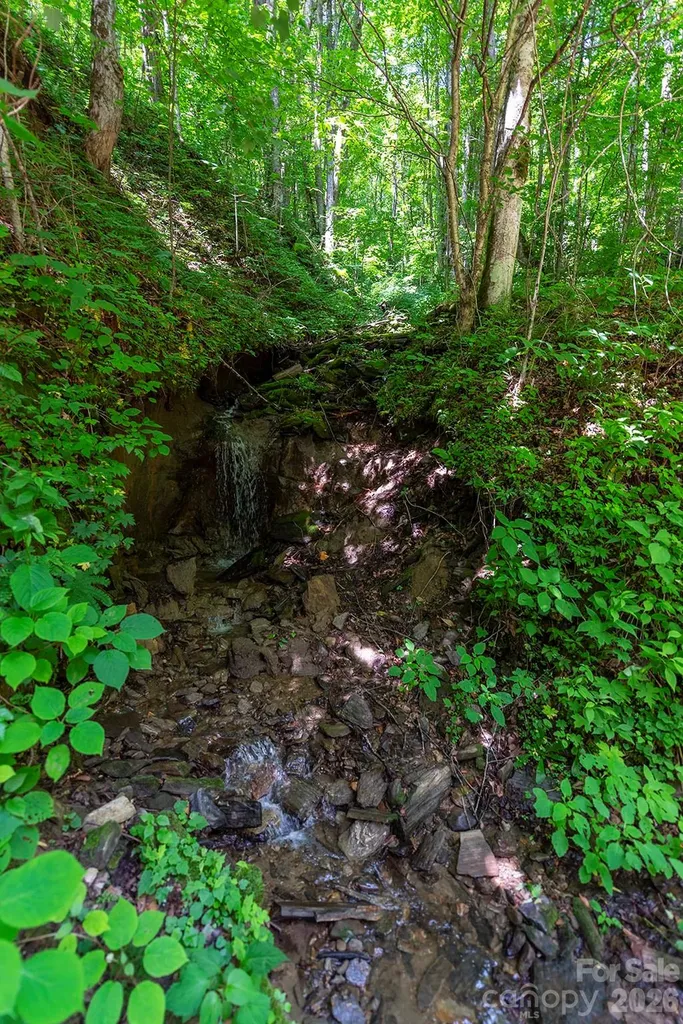 78 Spellbound Road Waynesville NC 28785