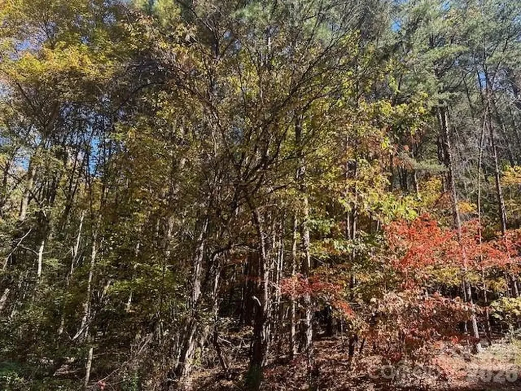 4294 South View Boulevard Morganton NC 28655
