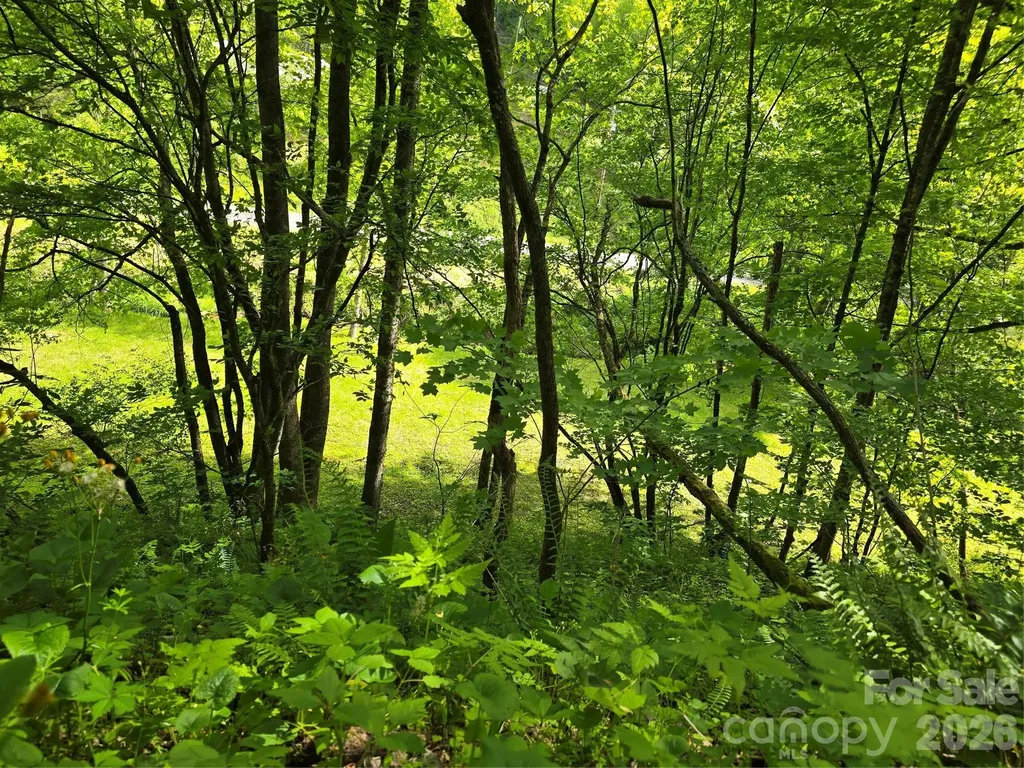 99999 Roaring Fork Road Mars Hill NC 28754