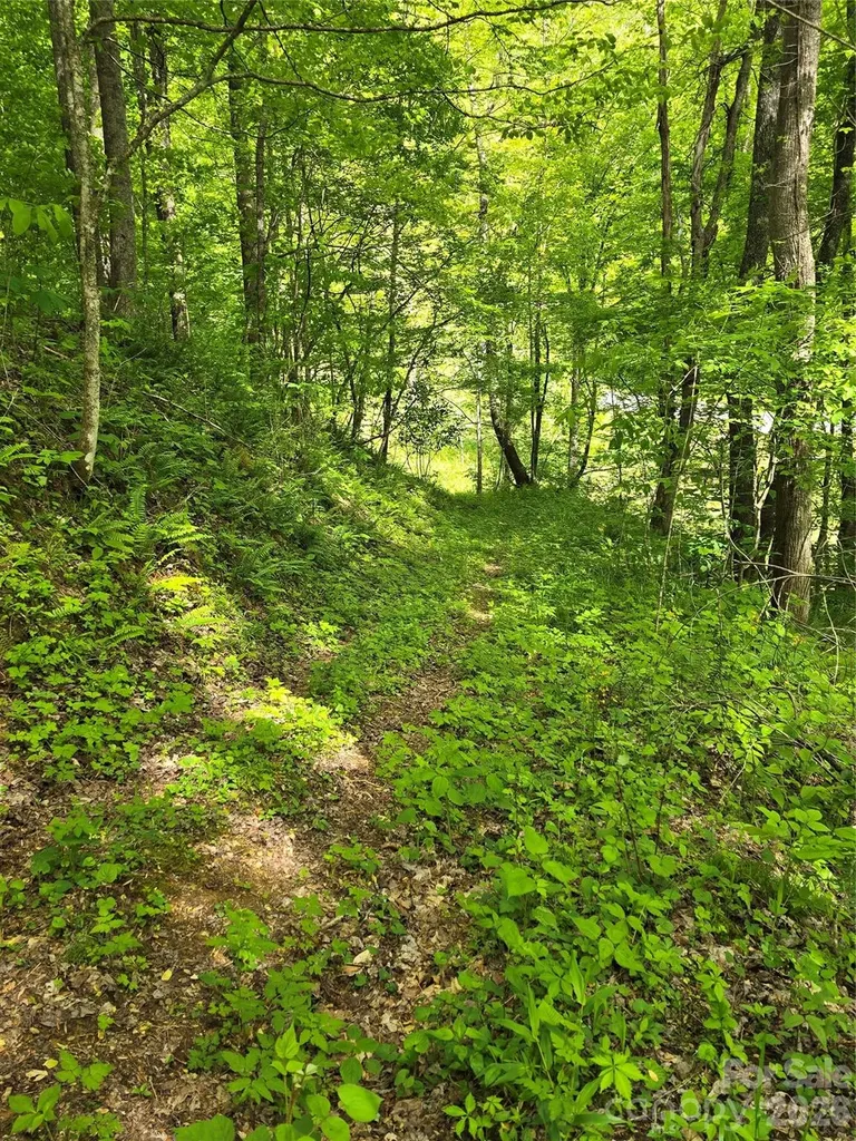 99999 Roaring Fork Road Mars Hill NC 28754