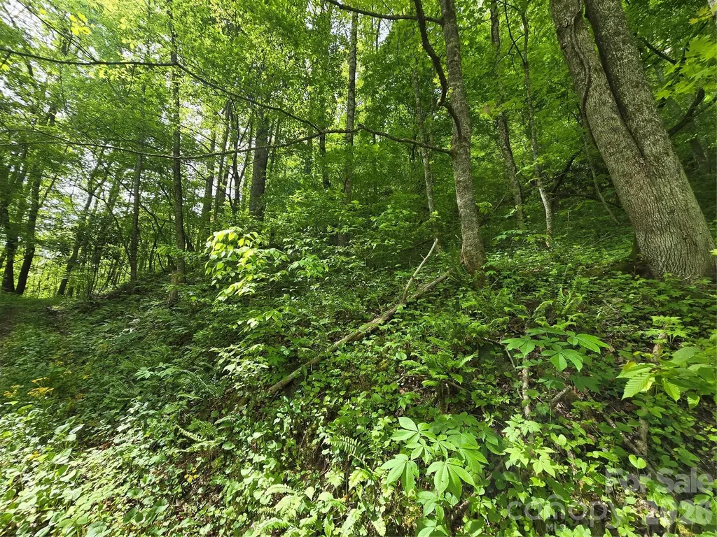 99999 Roaring Fork Road Mars Hill NC 28754