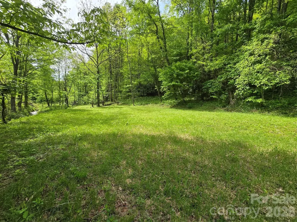 99999 Roaring Fork Road Mars Hill NC 28754